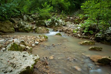 Adygea dağlarında seyahat et.