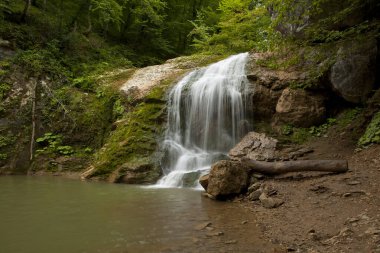 Ormandaki şelale. Adygea Cumhuriyeti 'nde çekildi..