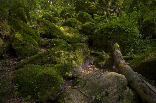Travel in the mountains of Adygea