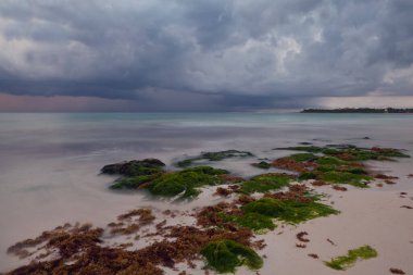 Yucatan Yarımadası 'nın deniz manzaraları
