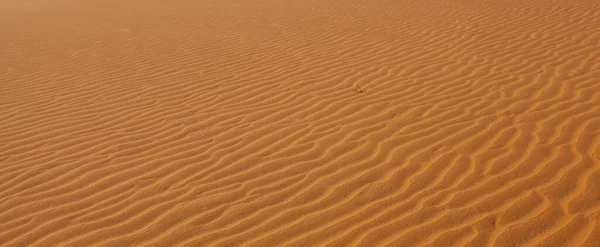 砂丘は 風や水で動く砂で構成された地形です または丘の形を取る背景と層のために — ストック写真