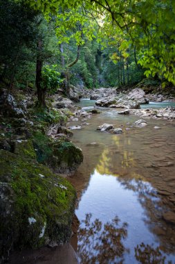 Guam Vadisi 'ndeki dağ nehri. Adigea Cumhuriyeti. Rusya.