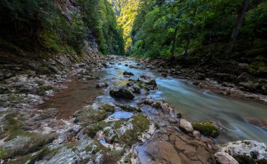 Guam Vadisi 'ndeki dağ nehri. Adigea Cumhuriyeti. Rusya.