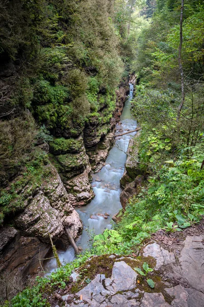 Fiume Montagna Nella Gola Guam Repubblica Adygea Russia — Foto Stock