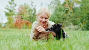 En sevdiğiniz evcil hayvanlarınızla oynayın. Yavru köpek yavru köpeklerle oynar.