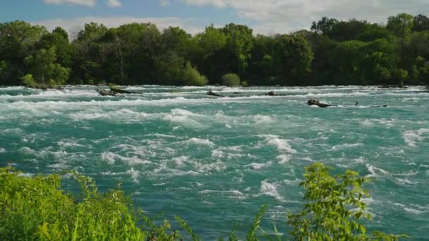 Vídeo en cámara lenta: curso rápido del río Niágara. — Vídeos de Stock