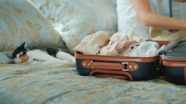 Жіночі руки кладуть одяг у сумку для подорожей. Пакувати речі у відпустку або подорожі — стокове відео