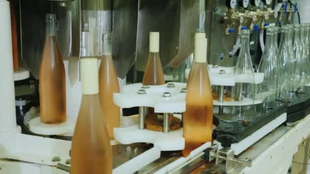 酒瓶沿着输送带移动，瓶塞上有瓶塞. — 图库视频影像
