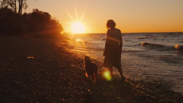 大きな湖で日没時に犬と一緒に歩く細い若い女性のシルエット — ストック動画