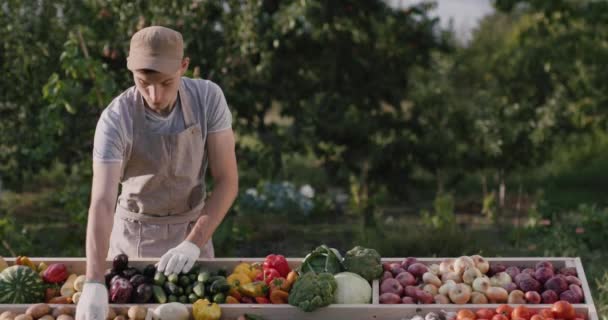 Egy fiatal gazda friss zöldségeket tesz a termelői piac asztalára. — Stock videók