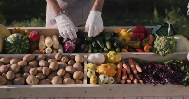 Satıcılar tarım fuarının tezgahına sebze seriyorlar. — Stok video