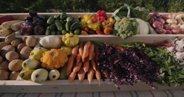 Лічильник зі свіжими фермерськими овочами на агропромисловій виставці — стокове відео