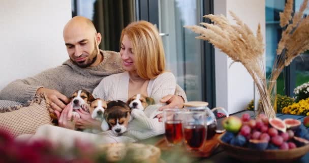 Gelukkig getrouwd stel ontspannen op de veranda van hun huis, spelen met puppies — Stockvideo