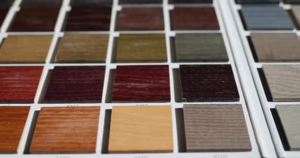 Palette Mit Lackierten Holzmustern Die Farbe Der Holzprodukte Auszuwählen — Stockvideo