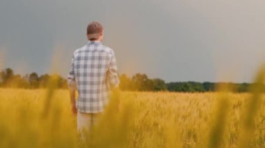 Çiftçinin arkasından bir manzara, elini buğday tarlasının üzerine kaldırıyor hoş bir jest olarak.