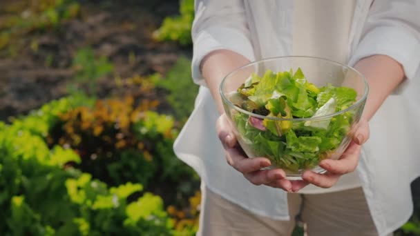 A woman holds a bowl of lettuce on the background of her garden — Stock Video