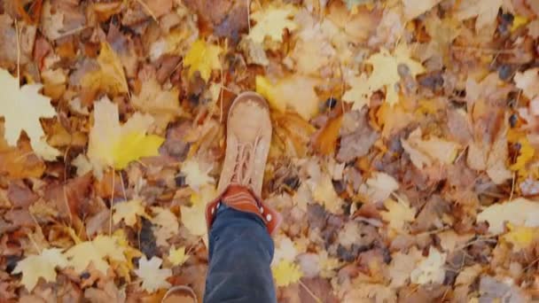 Spaziergang durch den Herbstpark, Beine gehen an den herabgefallenen Blättern entlang — Stockvideo