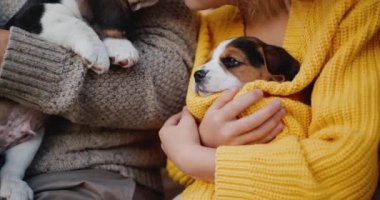 Kollarında köpek yavruları tutan sıcak giysili gençler.