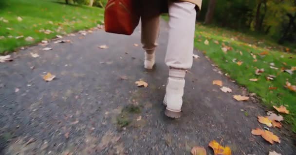 Nogi kobiety, która chodzi ścieżką w jesiennym parku. Śledź strzał. — Wideo stockowe