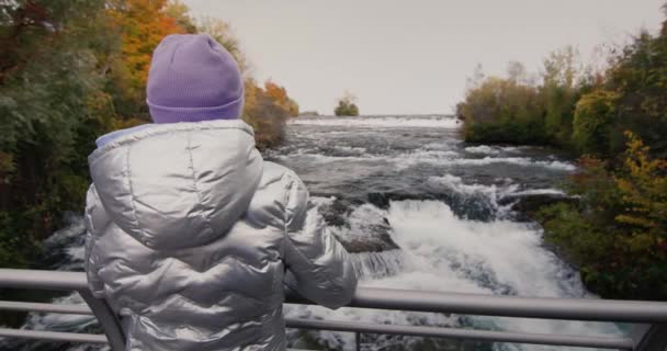 El niño mira el pintoresco afluente del río Niágara cerca de las Cataratas del Niágara. Viajar en los Estados Unidos — Vídeo de stock