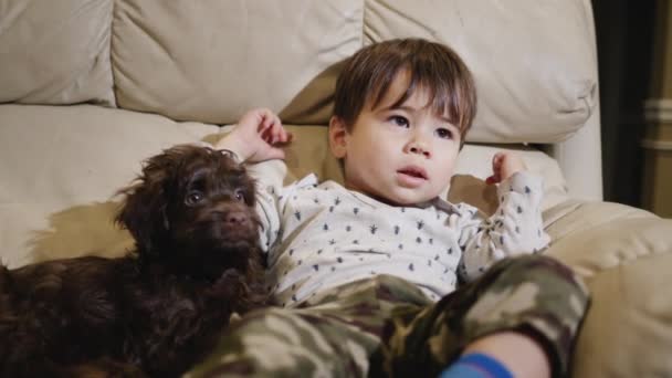 Et barn på to år ligger på sofaen ved siden af hvalpen og ser tv. – Stock-video