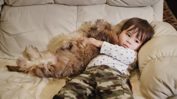 Cute Asian kid lies on the couch and hugs his puppy — Stock Video