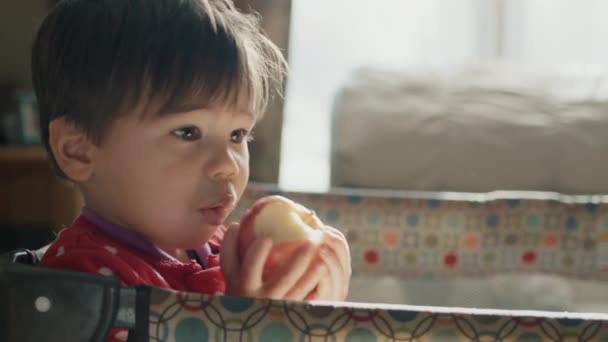 Ázsiai srác két éves eszik egy almát az arénában — Stock videók