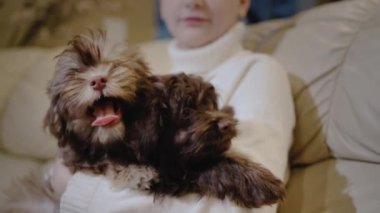 Bir kız kucağında iki sevimli köpek yavrusu, oturma odasında kanepede oturuyor..