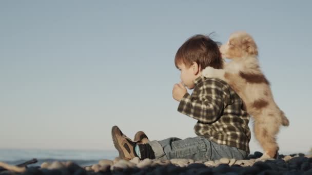 面白い遊び心の子犬は赤ちゃんに固執し、再生したいです。子供とペット-かわいいと面白いビデオ — ストック動画