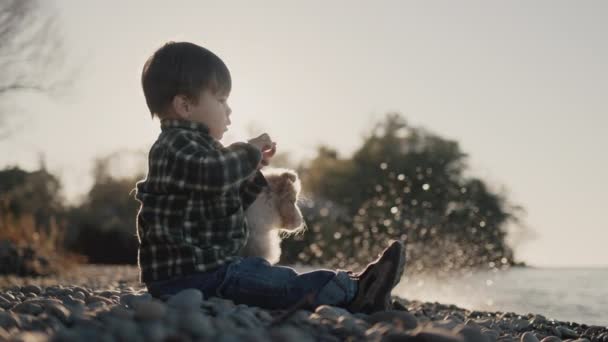 Un niño de dos años se sienta en la playa con su cachorro. Lanza guijarros al agua — Vídeos de Stock