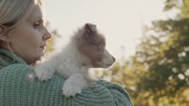 Bir kadın omzunda sevimli bir Avustralya çoban köpeği tutuyor. Sevgili hayvanınla parkta yürü.