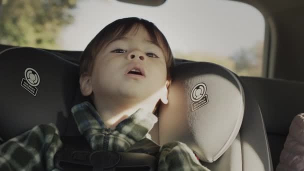 Egy kétéves ázsiai fiú egy gyerekautóban ül egy autó hátsó ülésén. — Stock videók