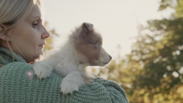 Una mujer sostiene un lindo perrito pastor australiano en su hombro. Camina con tu amada mascota en el parque — Vídeos de Stock