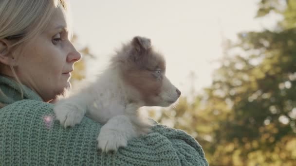 Une femme tient un joli chiot Berger Australien sur son épaule. Promenade avec votre animal de compagnie bien-aimé dans le parc — Video