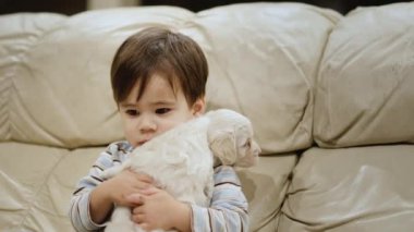 Tatlı iki yaşındaki bir çocuk beyaz bir Labrador köpeğini nazikçe kendine bastırıyor.