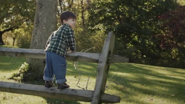 Agile aziatische jongen 2 jaar oud klom het hek, heeft een goede tijd op een wandeling in het platteland — Stockvideo