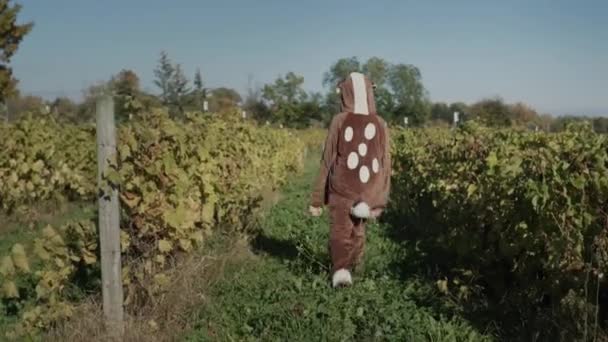 Egy szarvas jelmezes gyerek fut át a szőlőskerten. — Stock videók