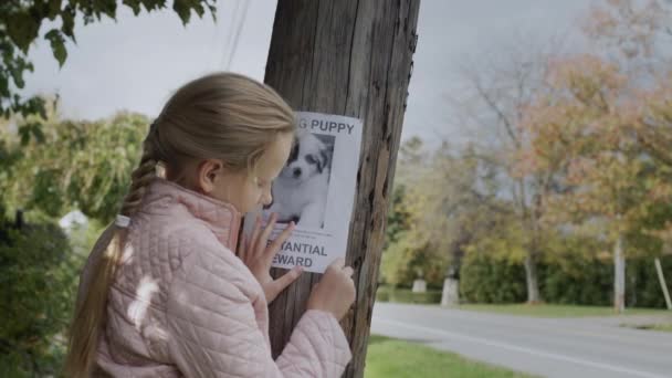 Un niño coloca un folleto sobre un gato desaparecido en un poste. Concepto de búsqueda de mascotas — Vídeos de Stock