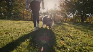 Bir çocuk köpeğiyle birlikte parkta yürüyor. Çerçevede, bacakları görebilirsiniz.