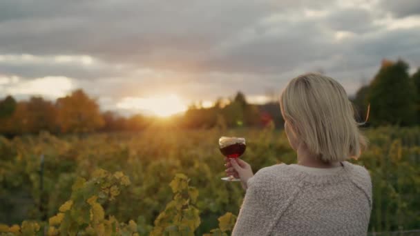 Een vrouw houdt een glas rode wijn in haar hand, staat tegen de achtergrond van een wijngaard waar de zon episch ondergaat — Stockvideo