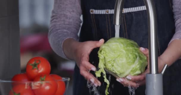 Womens hands hold cabbage under a stream of water - prepare breakfast — Vídeo de Stock