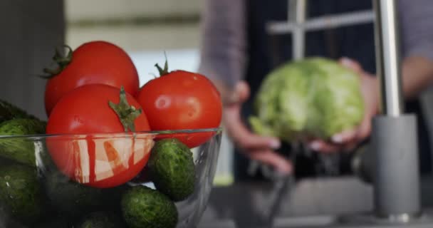 Woman washes ingredients for salad - under a stream of water holds cabbage head. Slow motion shot — Stock Video