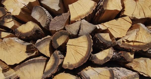 Prickly oak wood lies in the floor — Vídeo de stock