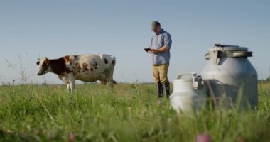Çiftçi tablet kullanır, ineklerin otladığı otlakta durur.