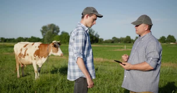 Two farmers shake hands, stand in a pasture where cows graze — Vídeo de Stock