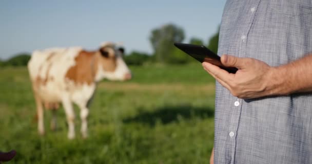 Dos granjeros se dan la mano, se paran en un pasto donde las vacas pastan — Vídeos de Stock