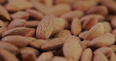 Selected roasted almond grains. 4k slider shot
