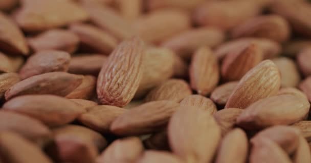 Selected roasted almond grains. 4k slider shot — Stockvideo