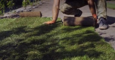 Bir adam yere yuvarlanmış bir çim serer. Doğal çimlerle çevrili araziyi hızlıca düzenledik.