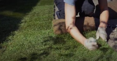 Bir grup işçi evin bahçesine yuvarlanmış bir çim seriyor.